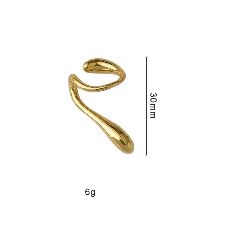 Brinco Elegante Clipe