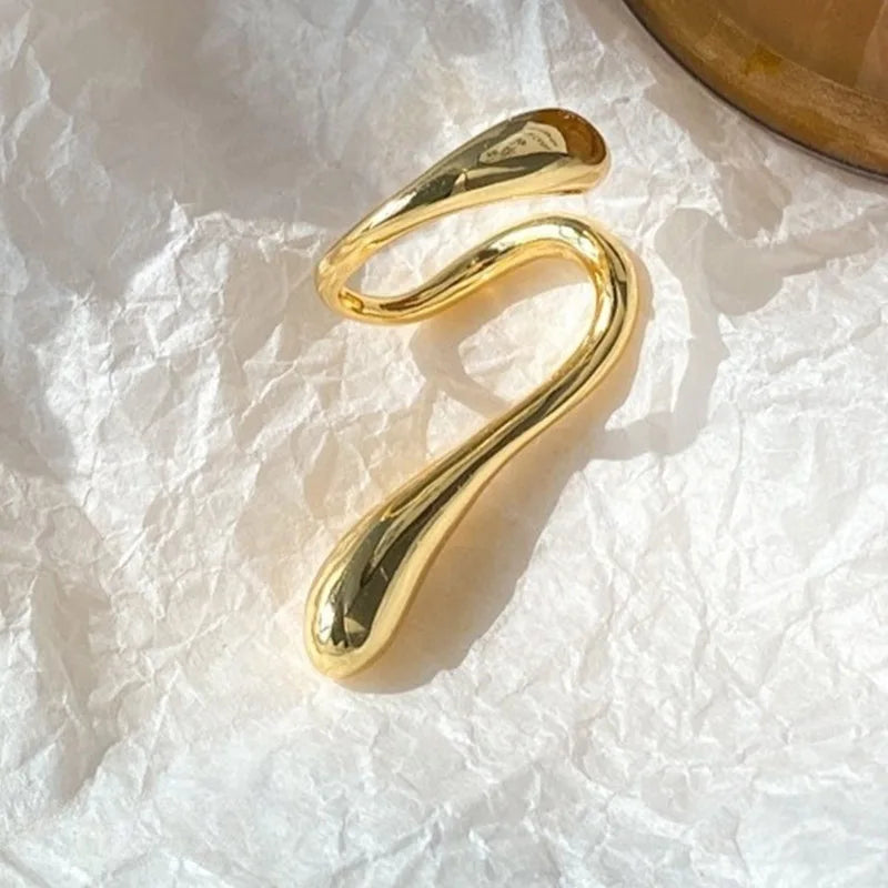 Brinco Elegante Clipe